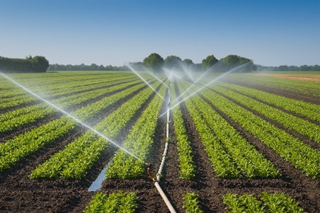 Smart Seeders and Smart Sprayers